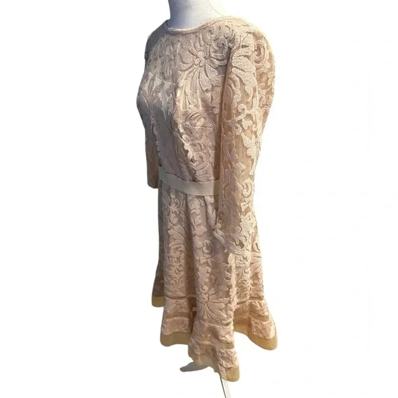 Tadashi Shoji Elegant Lace Dress in Cream petite size 12 - Picture 3 of 12